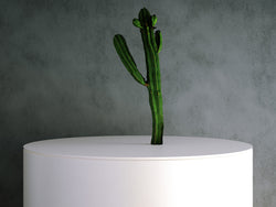 Tall Cactus 01