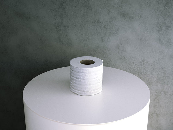Toilet Paper Roll (bathroom)